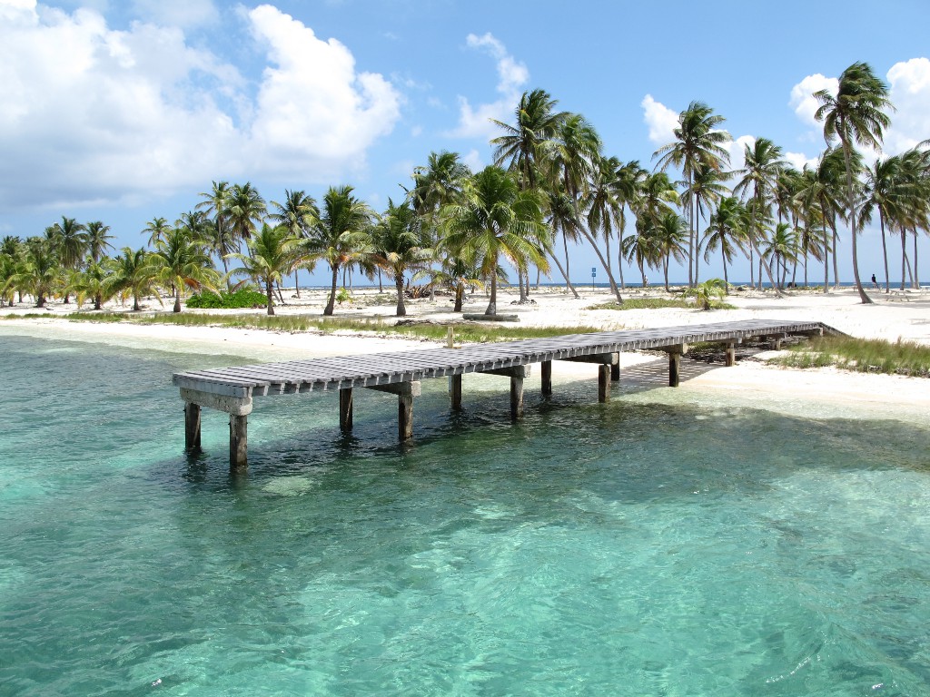 IMG_0303 (1) IMG_0303 (1)